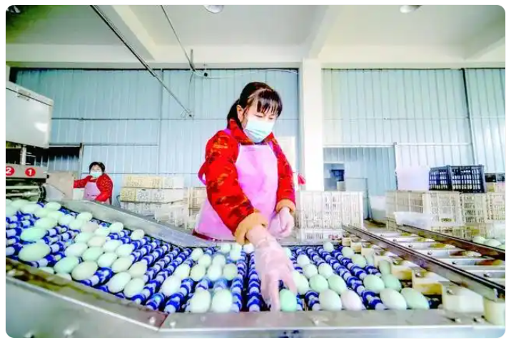 農(nóng)民(mín)創業(yè)“沖鴨”闖市(shì)場(chǎng)